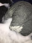20 minutes into the wash time and still a dry spot on the garment, click to load a larger version