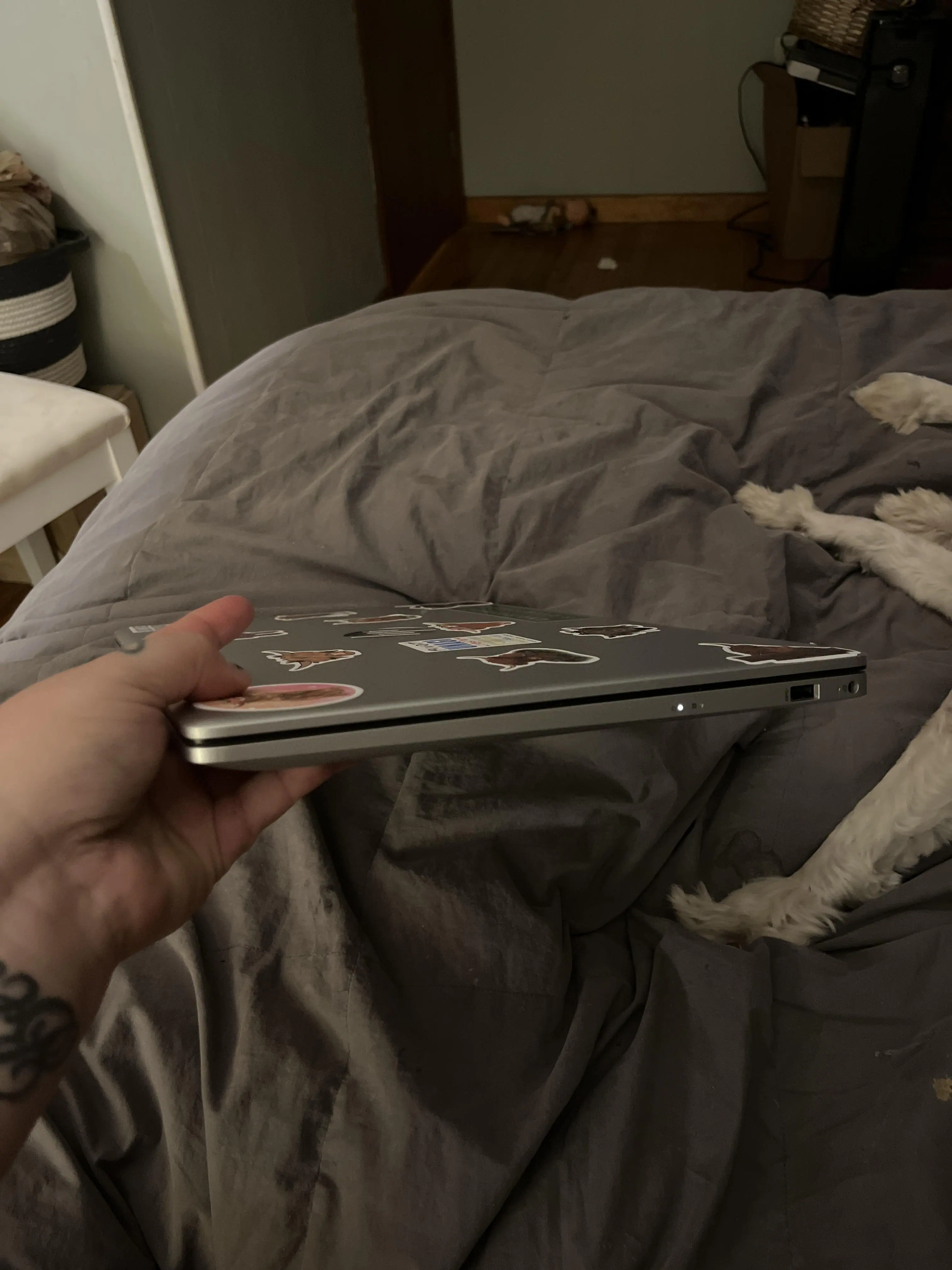 Customer provided, click to load a larger version