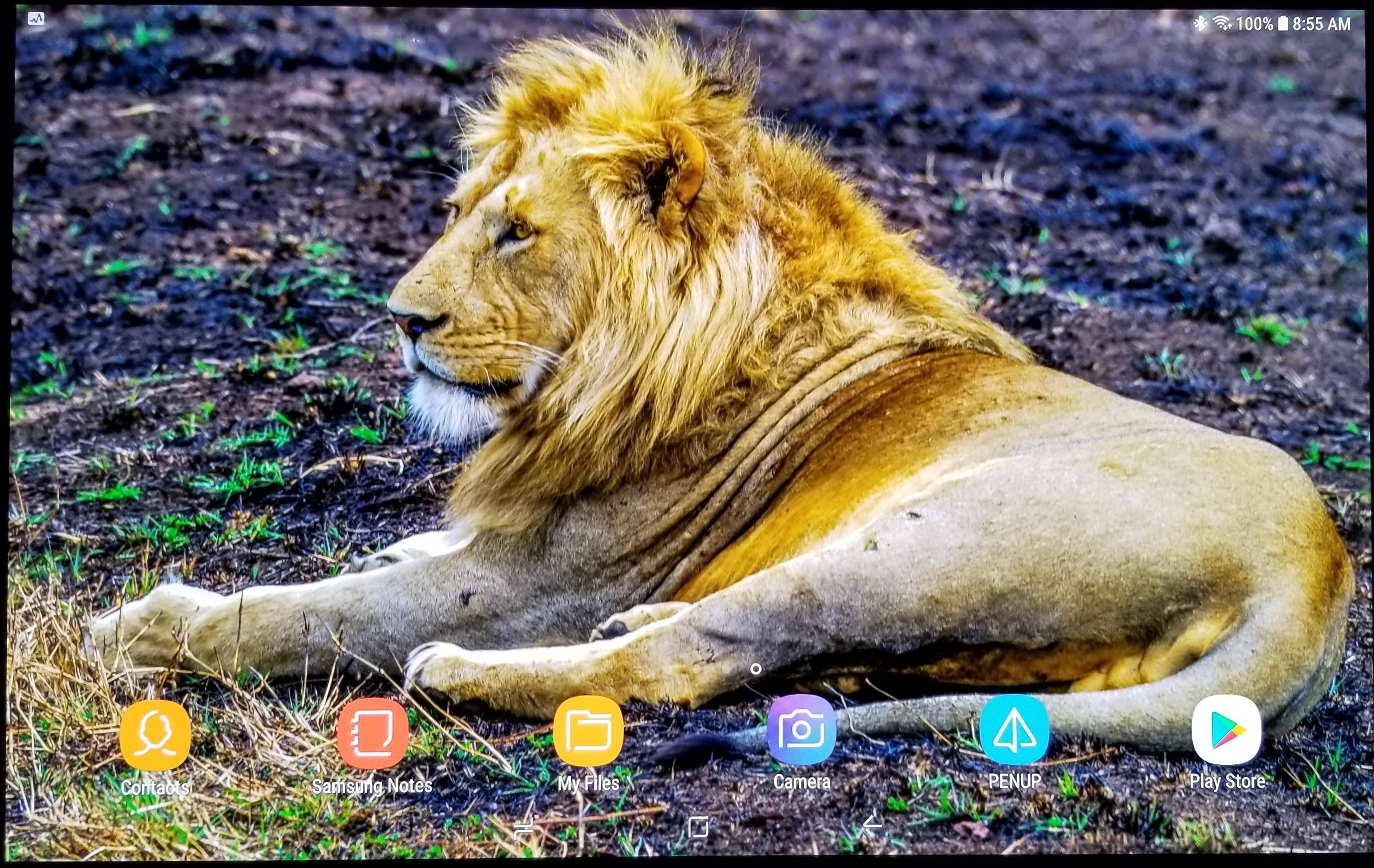 Android Interface - Home Screen, click to load a larger version