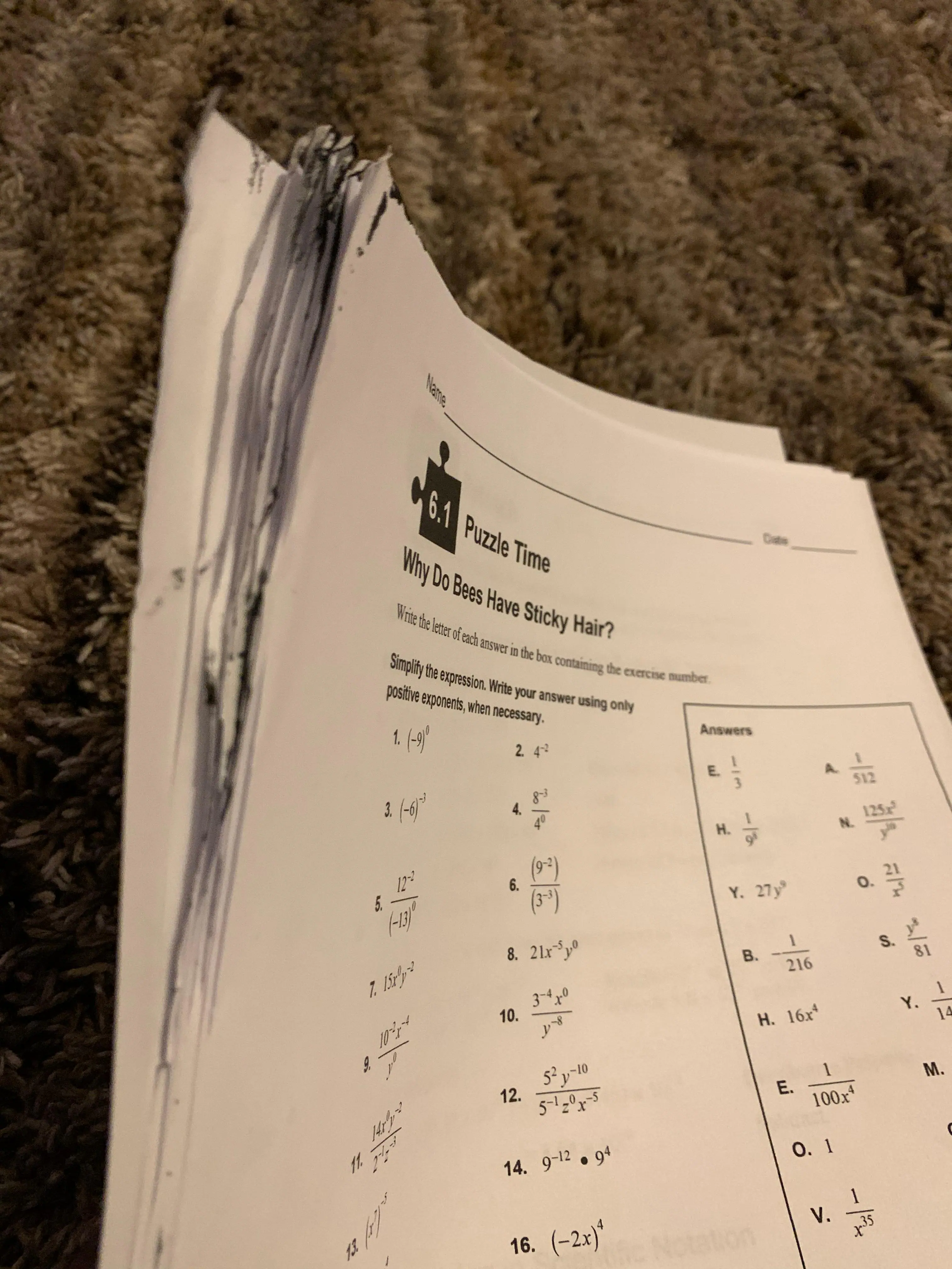 Customer provided image, click to load a larger version