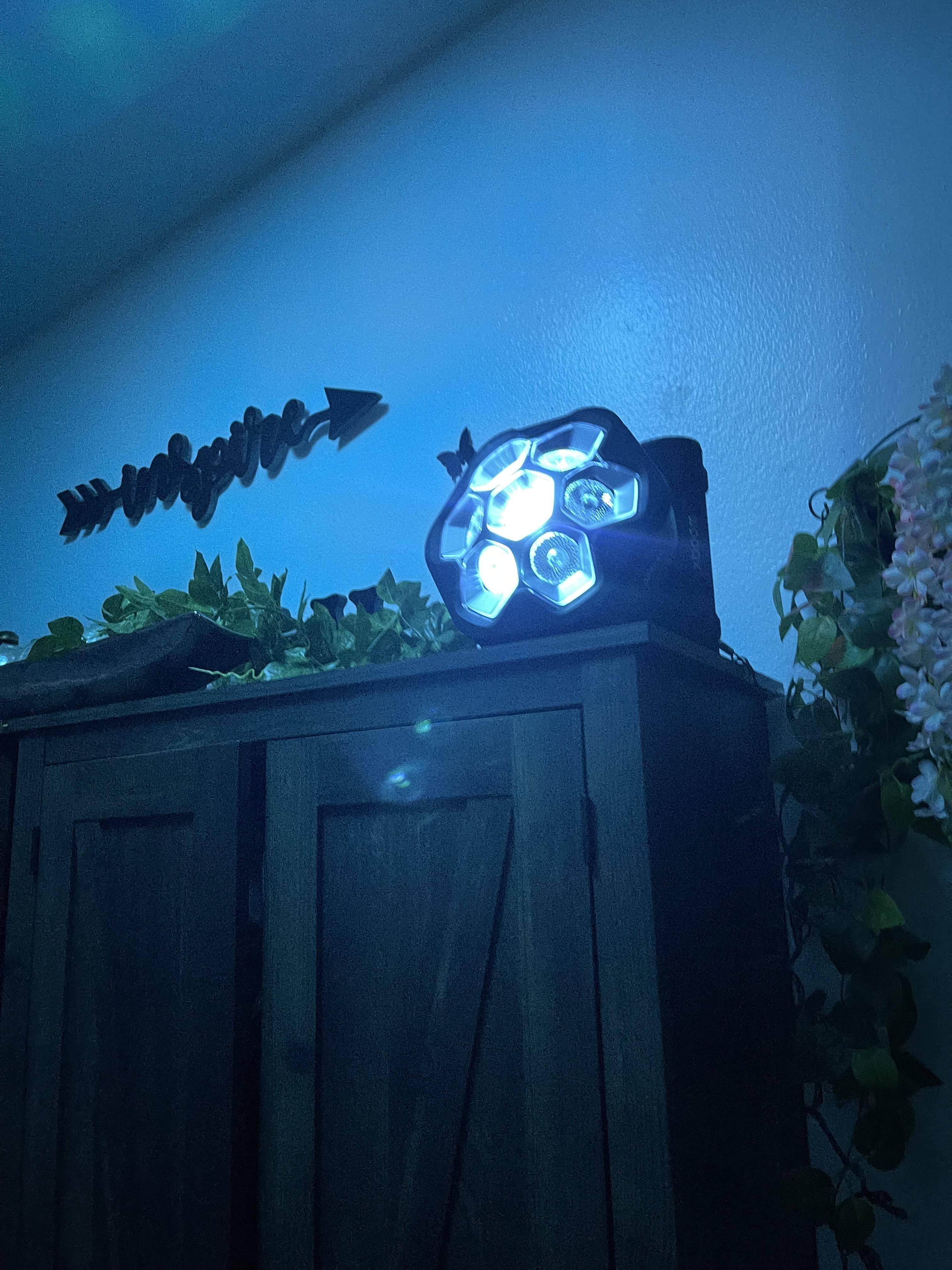 Customer provided image, click to load a larger version