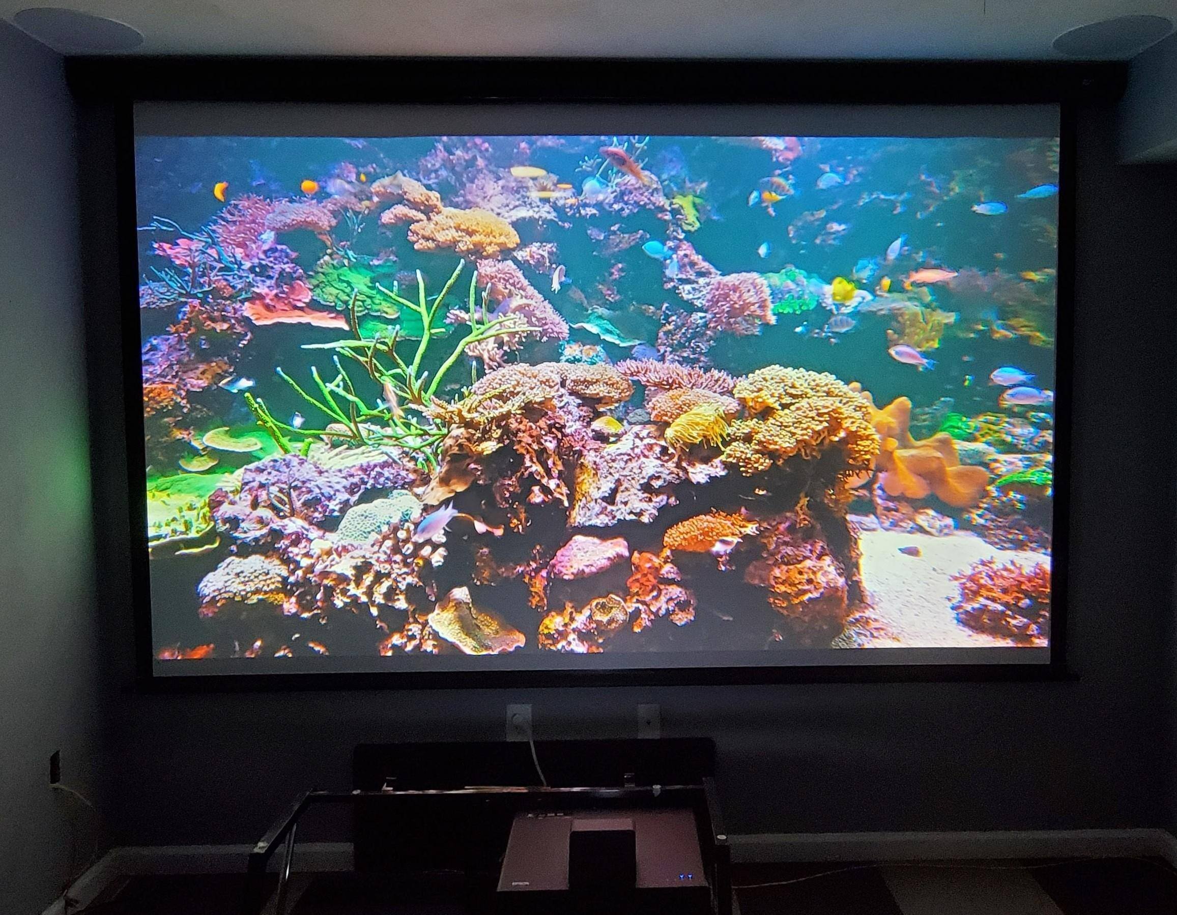 So colorful, click to load a larger version