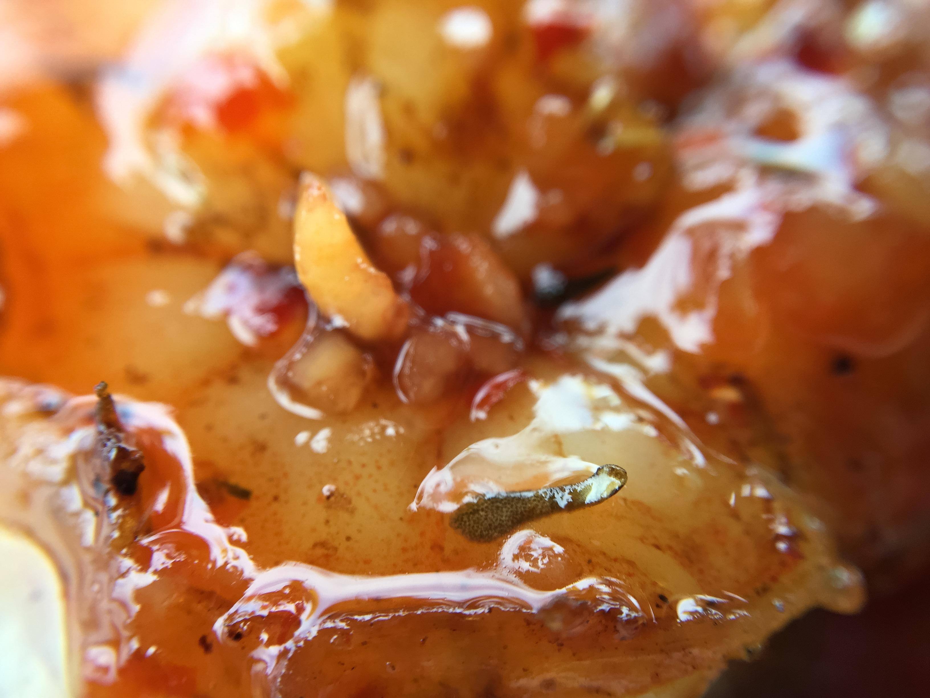 Macro, click to load a larger version