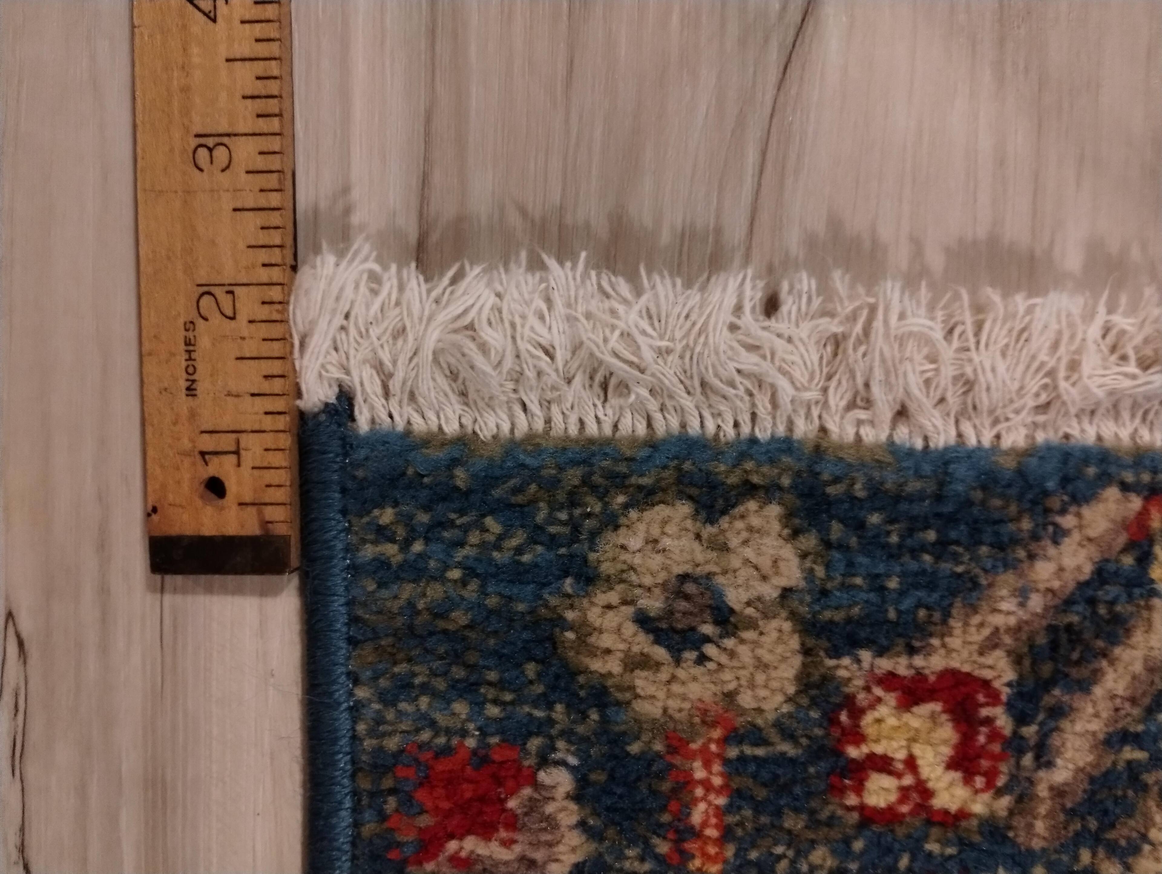 Nothing crazy but I wanted to show that the Roomba 205 had no problem with the edges on my rugs.  I thought it may get stuck but I had no issues.  It cleaned them without a problem., click to load a larger version