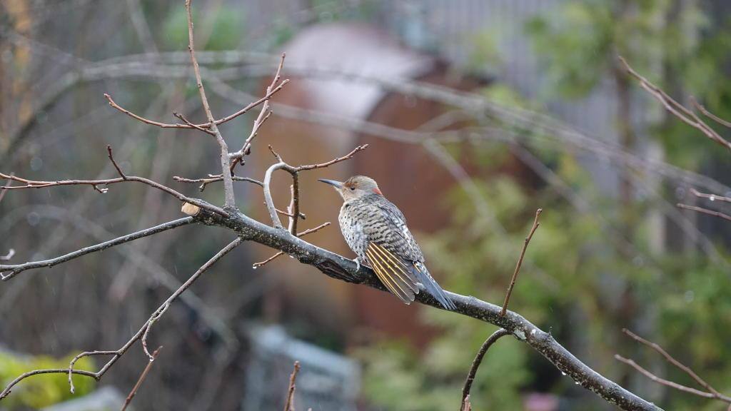 600 mm, click to load a larger version