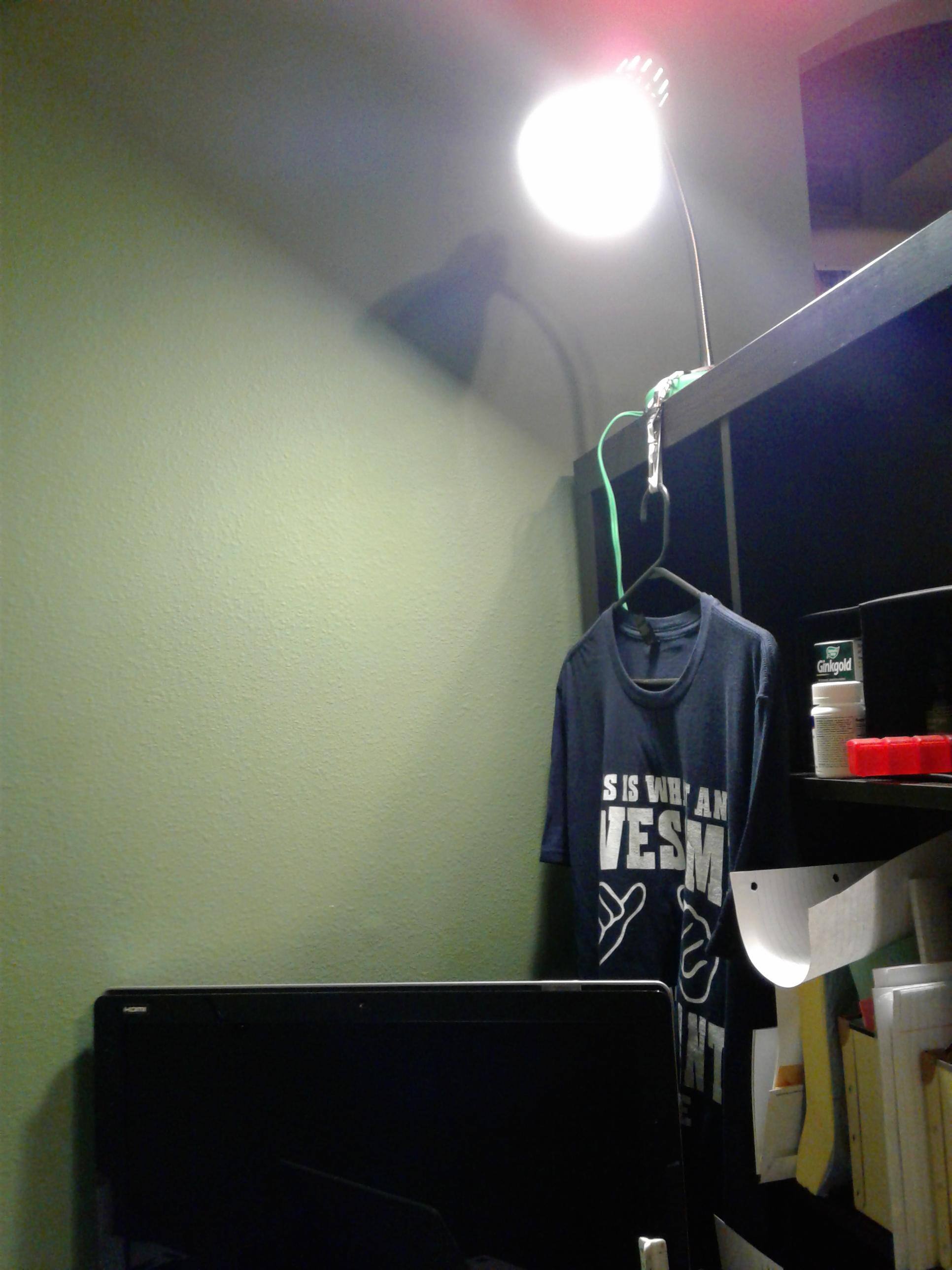 Good light, click to load a larger version