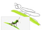 Using the Cocreator feature I made very minimum effort to draw a grasshopper and cocreator made a more realistic rendition using just a few words of description.  This could be enhanced if I had S-Pen support., click to load a larger version