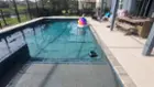 Full shot of pool, click to load a larger version
