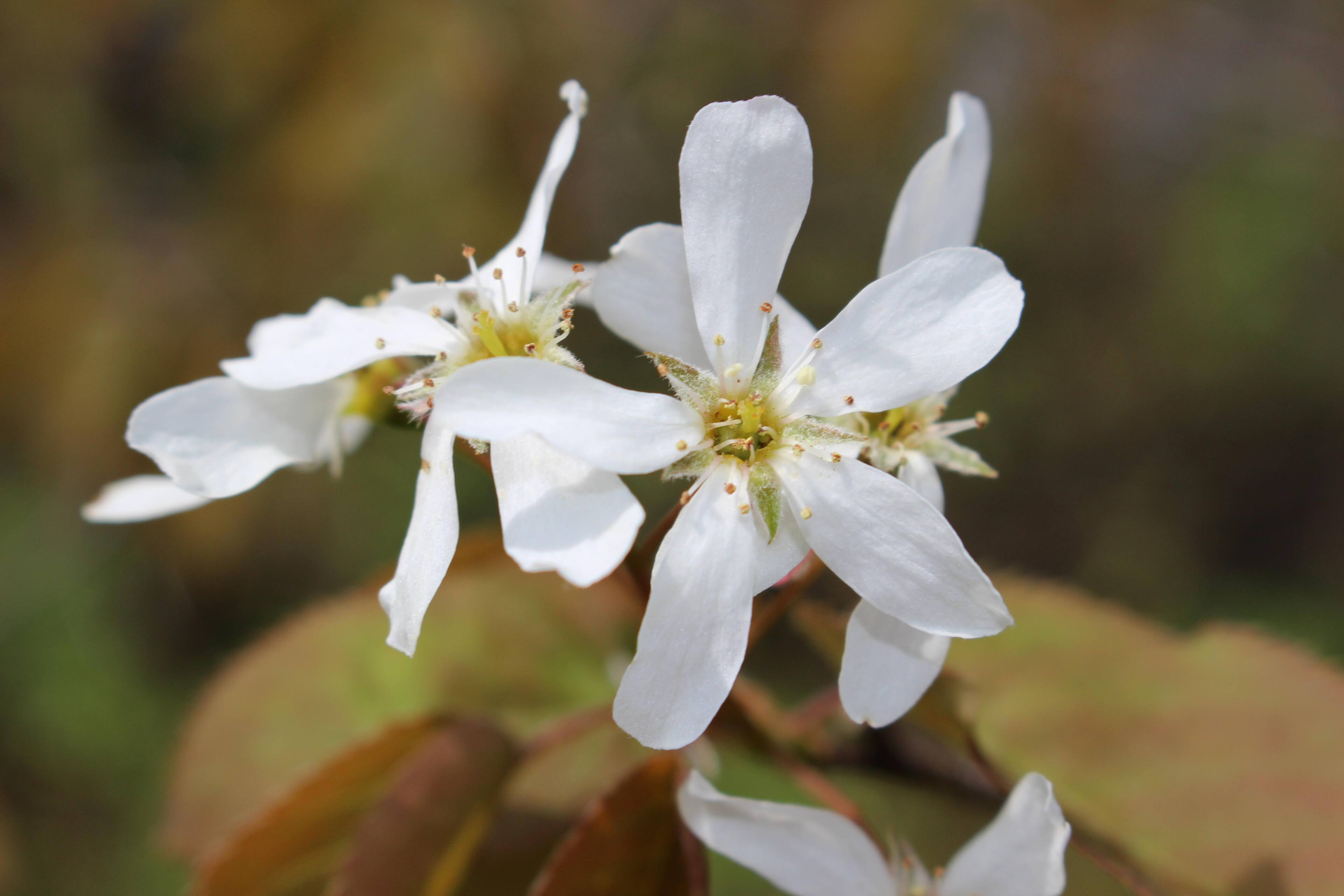 One of the 1st pics, click to load a larger version