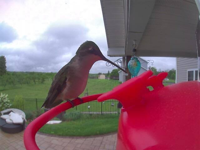 Customer provided image, click to load a larger version