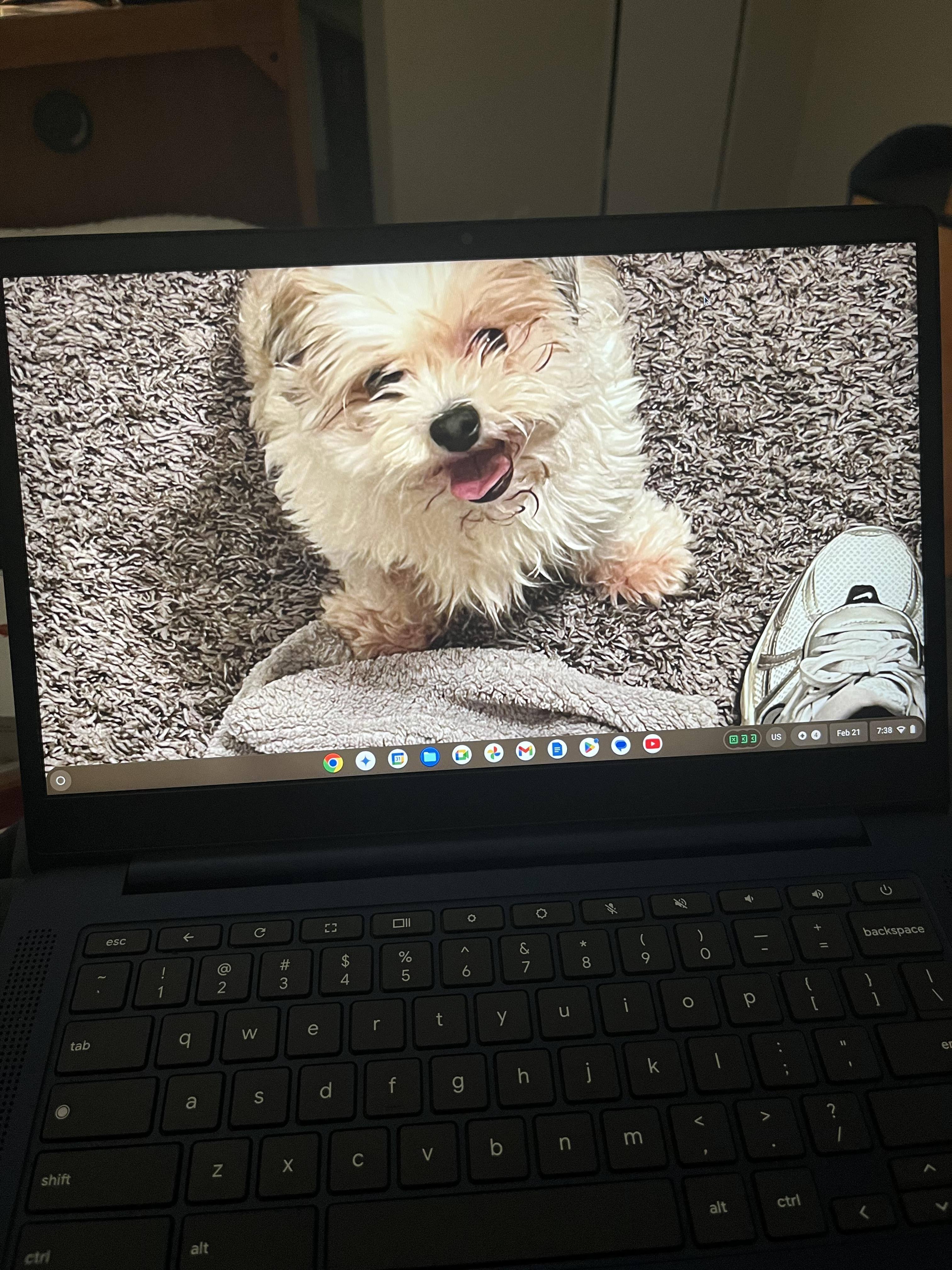 Customer provided, click to load a larger version