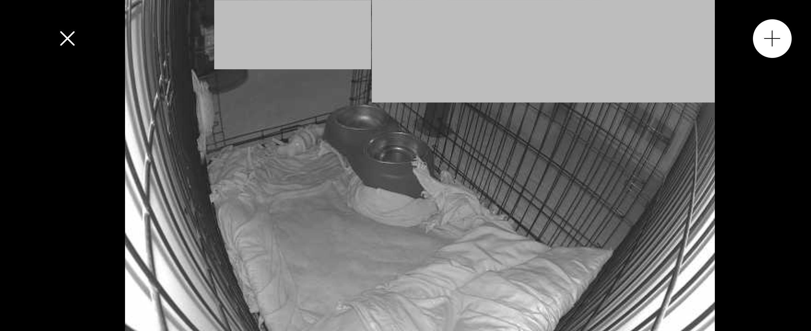 Ability to set up privacy zones that completely block that portion of the view & recording., click to load a larger version