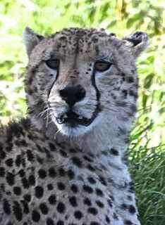 What are you looking at?, click to load a larger version