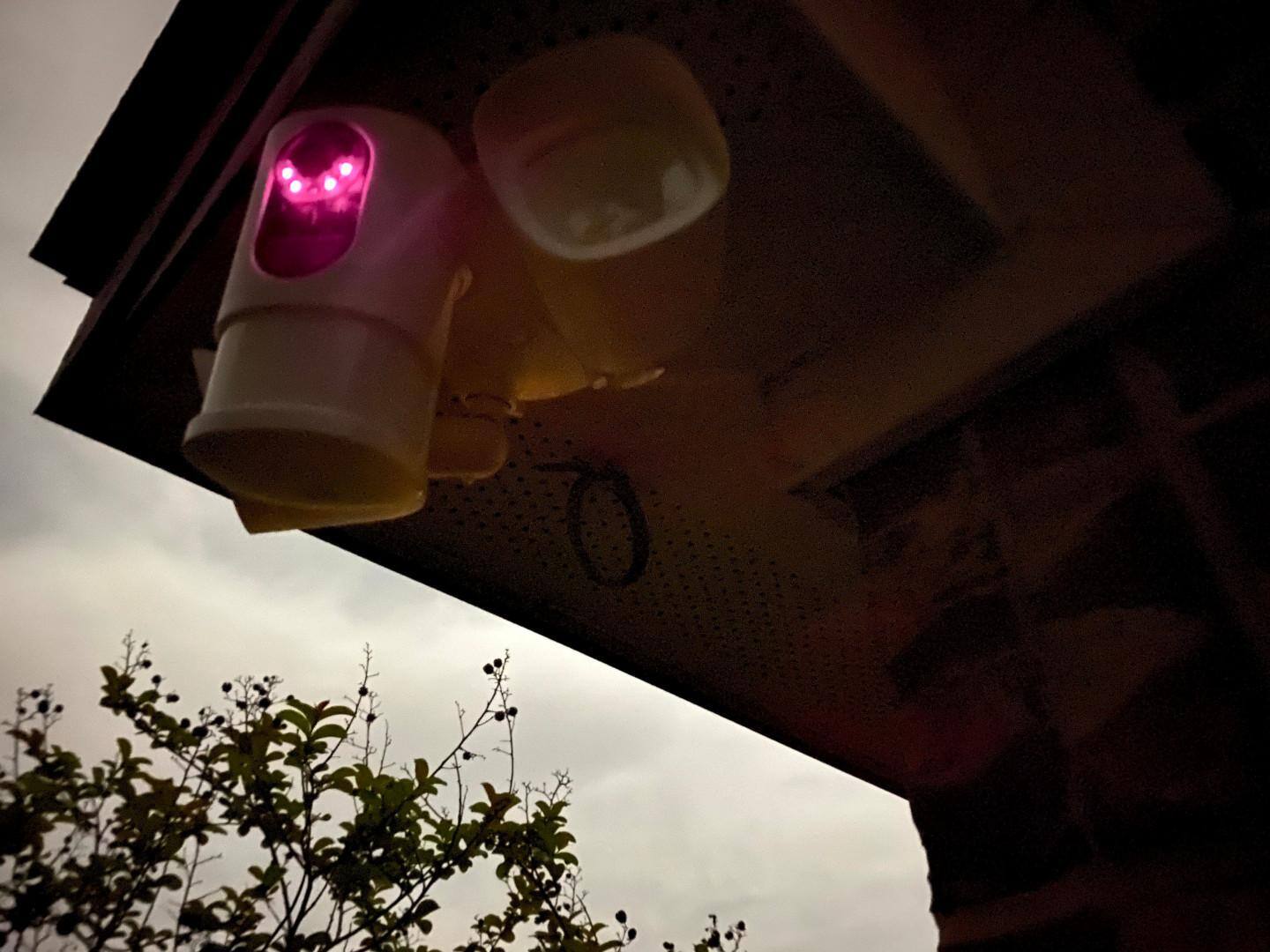 IR Lights are too close to lens attracting bugs right near the camera, click to load a larger version