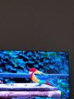 4K picture from tv using my phone camera, click to load a larger version