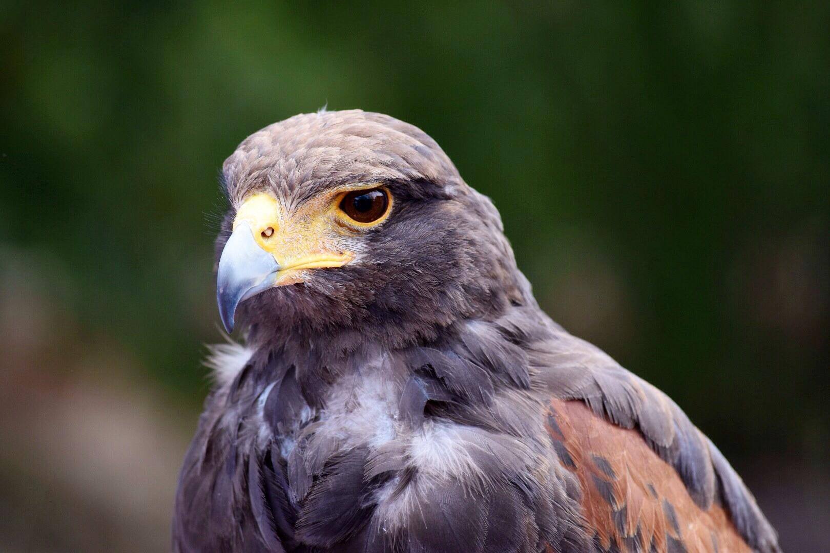 At 200mm, click to load a larger version