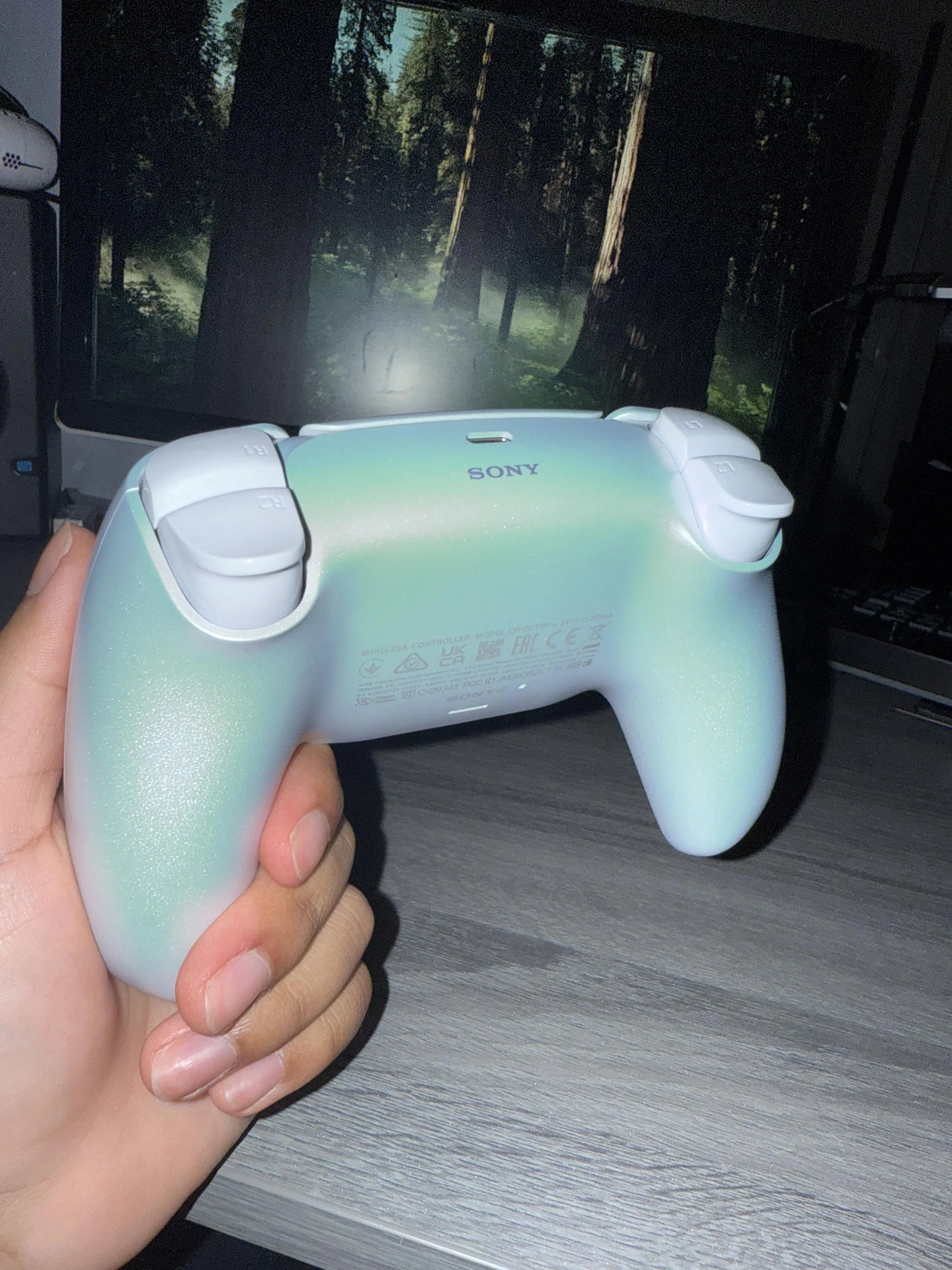 Customer provided, click to load a larger version