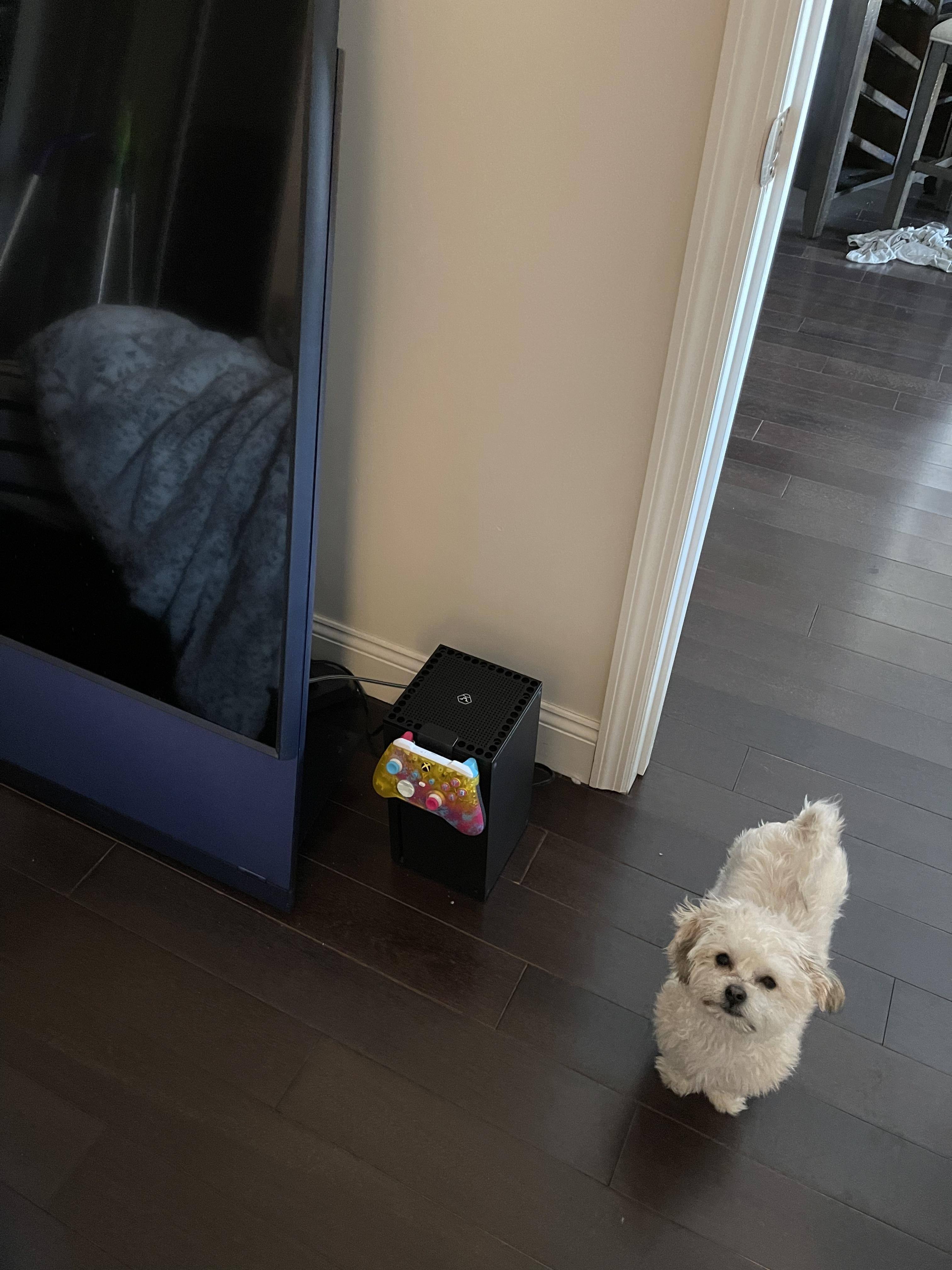 Customer provided, click to load a larger version