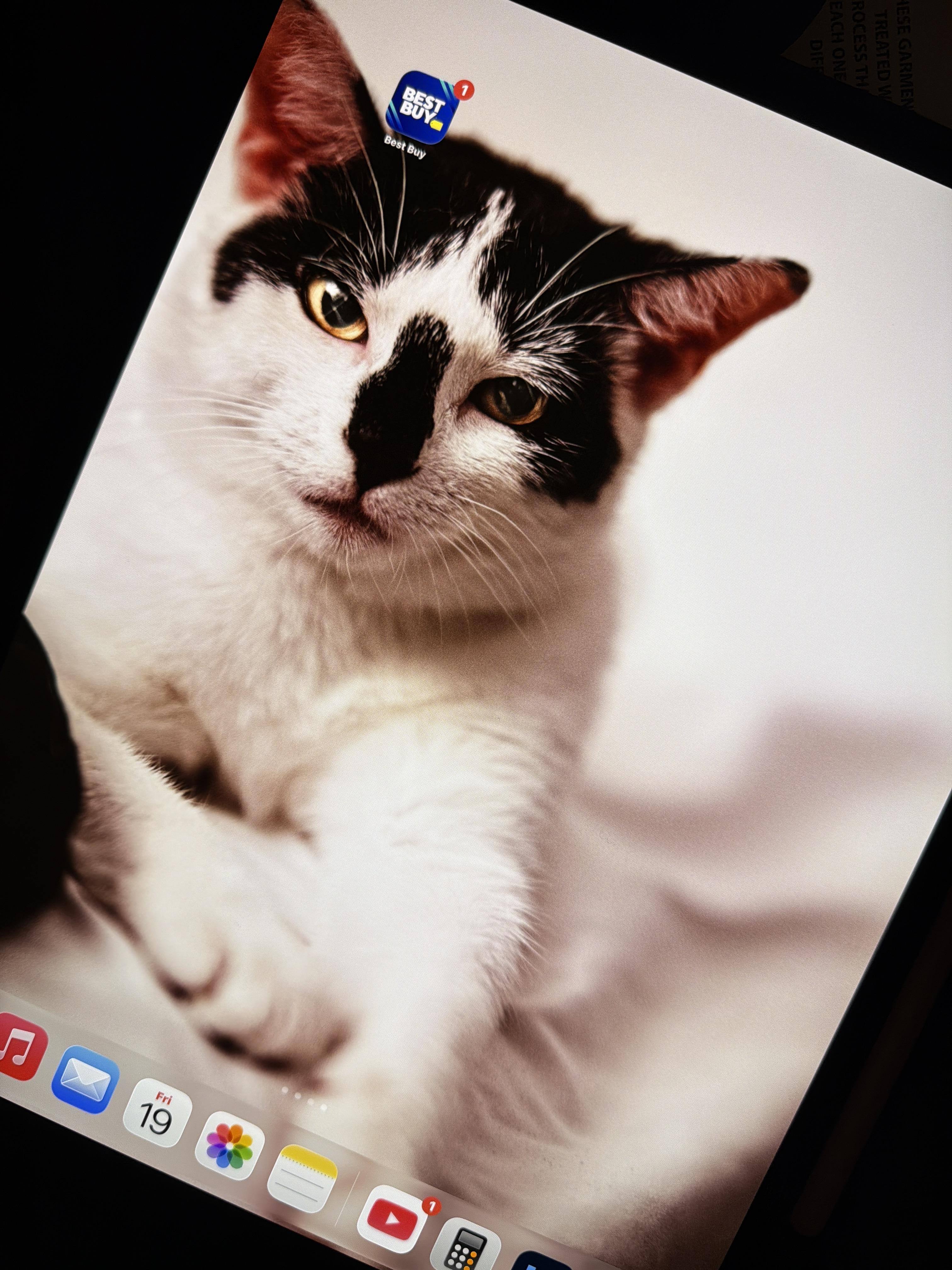 Customer provided image, click to load a larger version