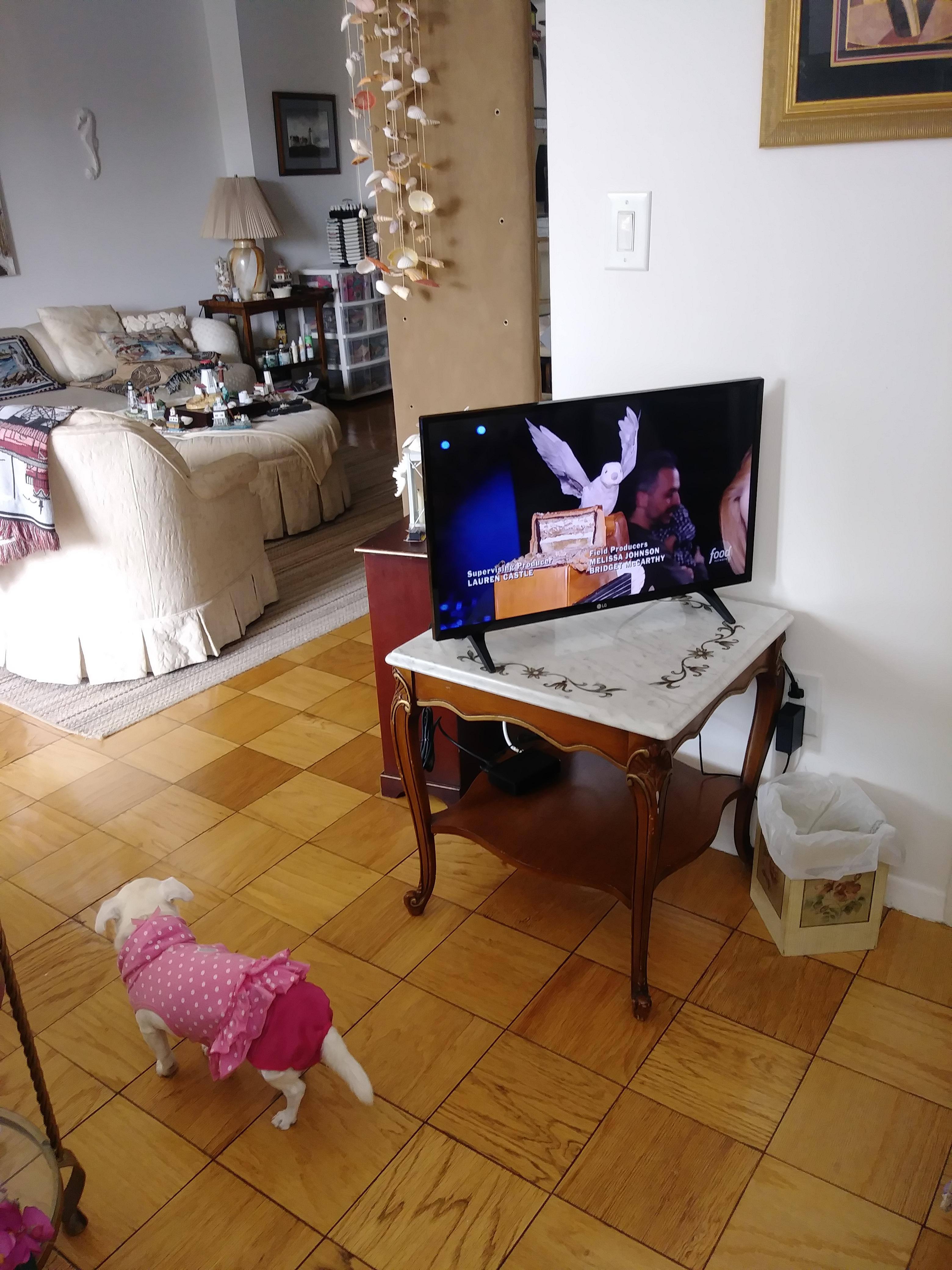 My pup loves it!, click to load a larger version