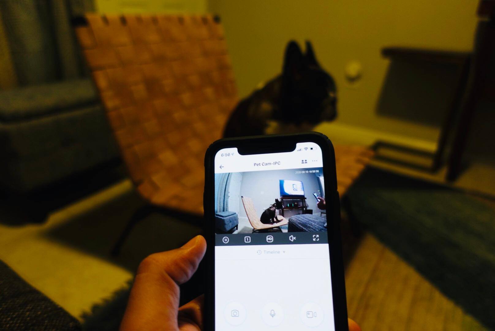 Easy to use app, click to load a larger version