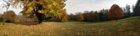 pic, click to load a larger version