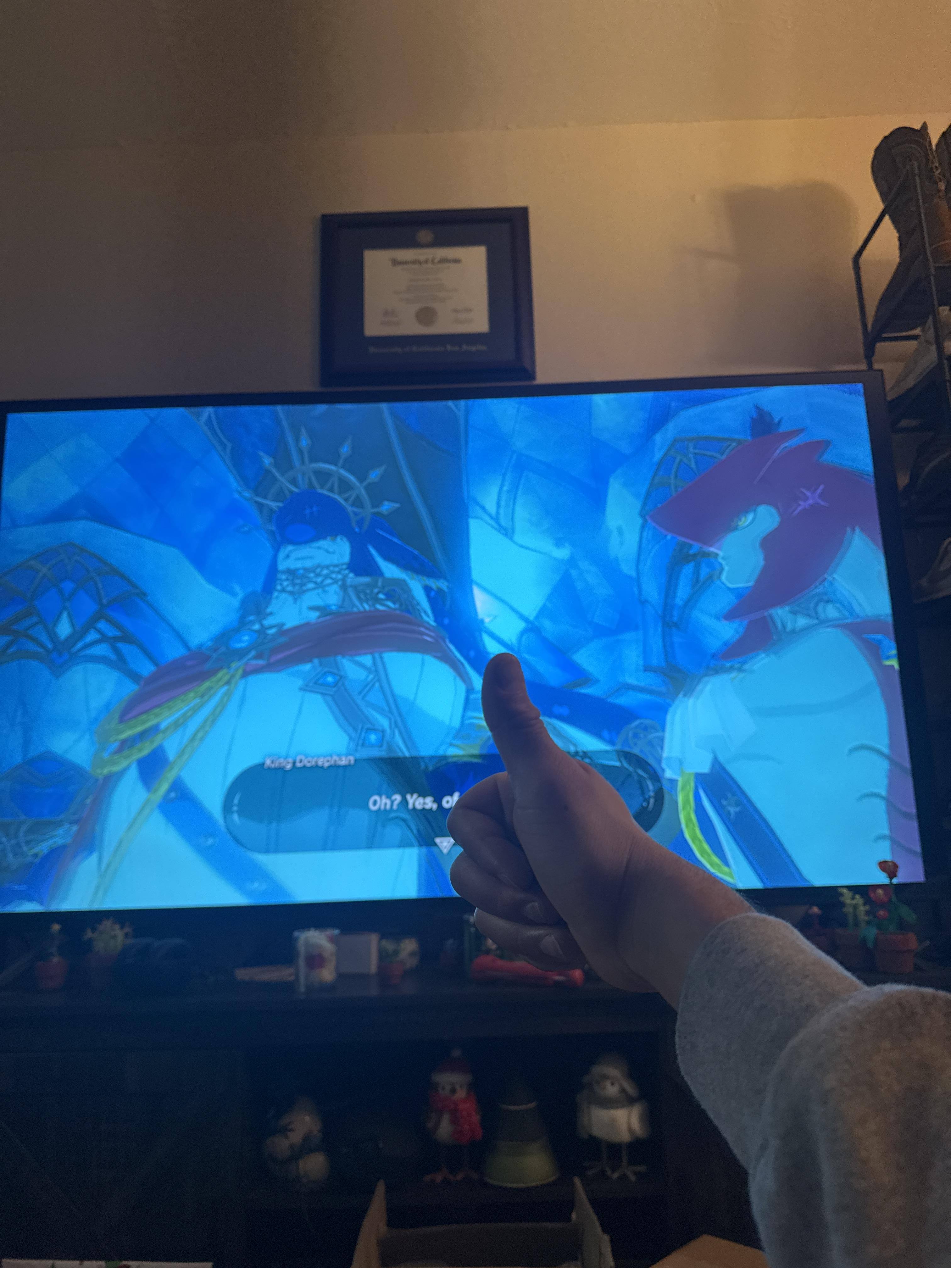 Customer provided, click to load a larger version