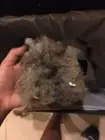 This is from a "clean" floor, click to load a larger version