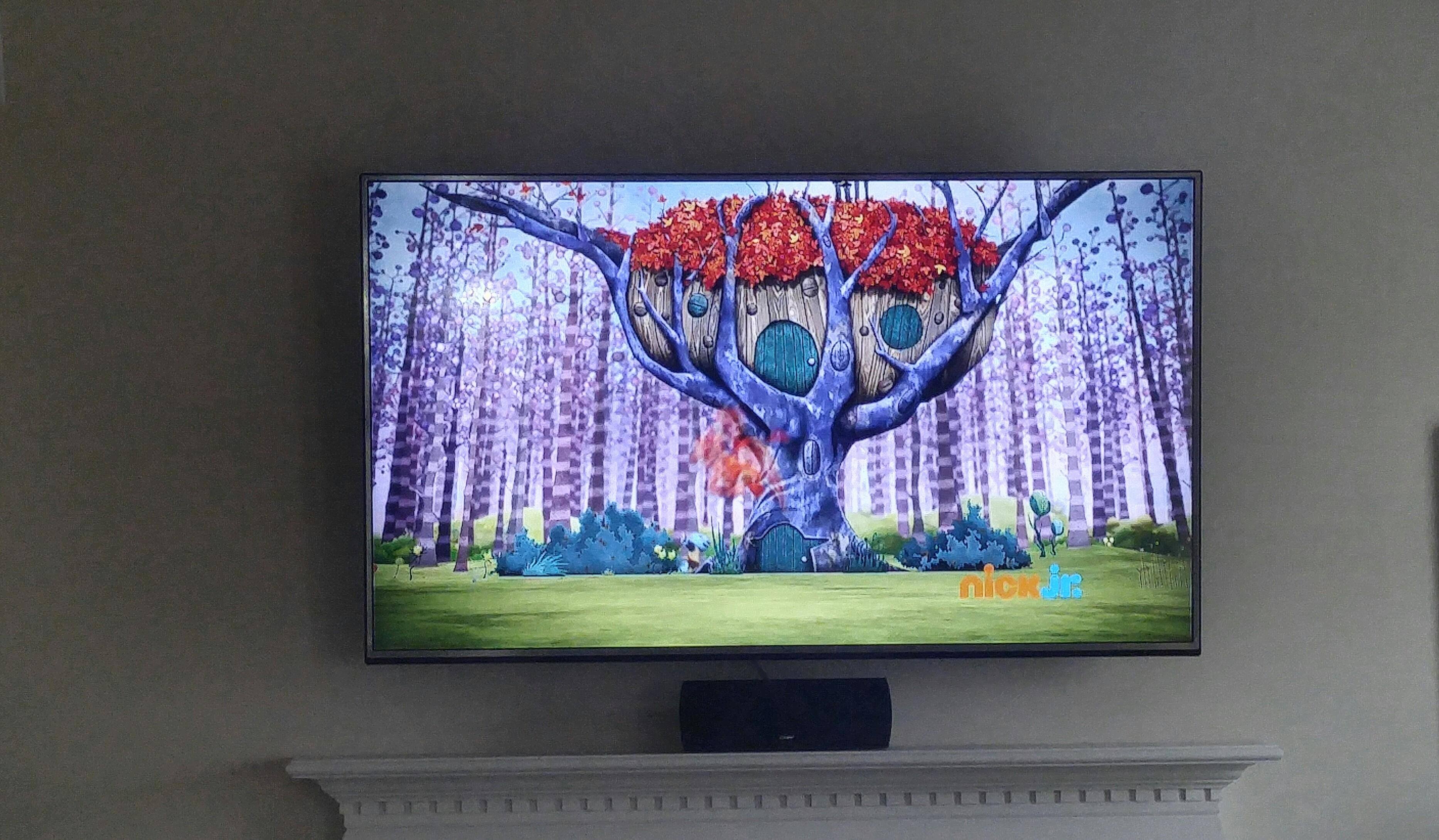 Lg 65 inch, click to load a larger version