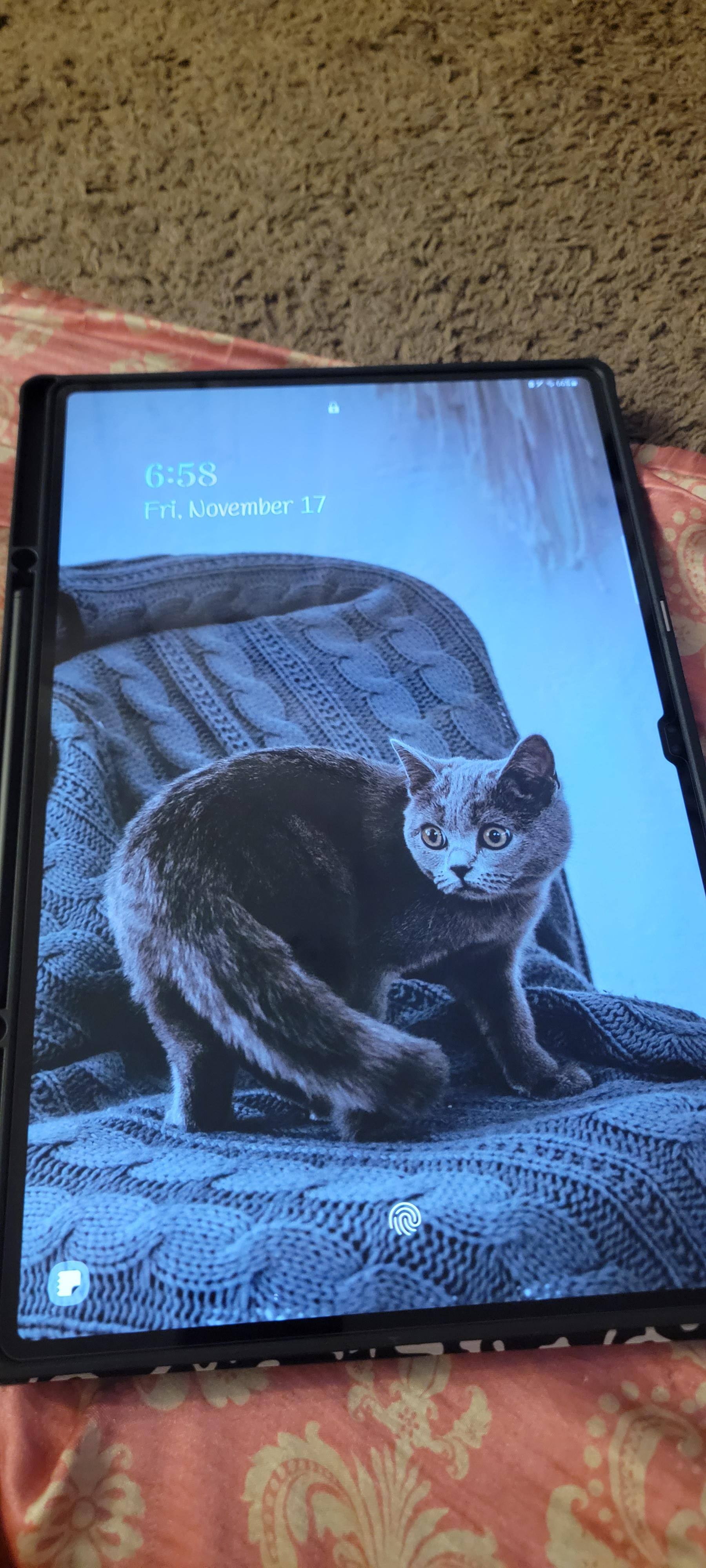 Customer provided, click to load a larger version