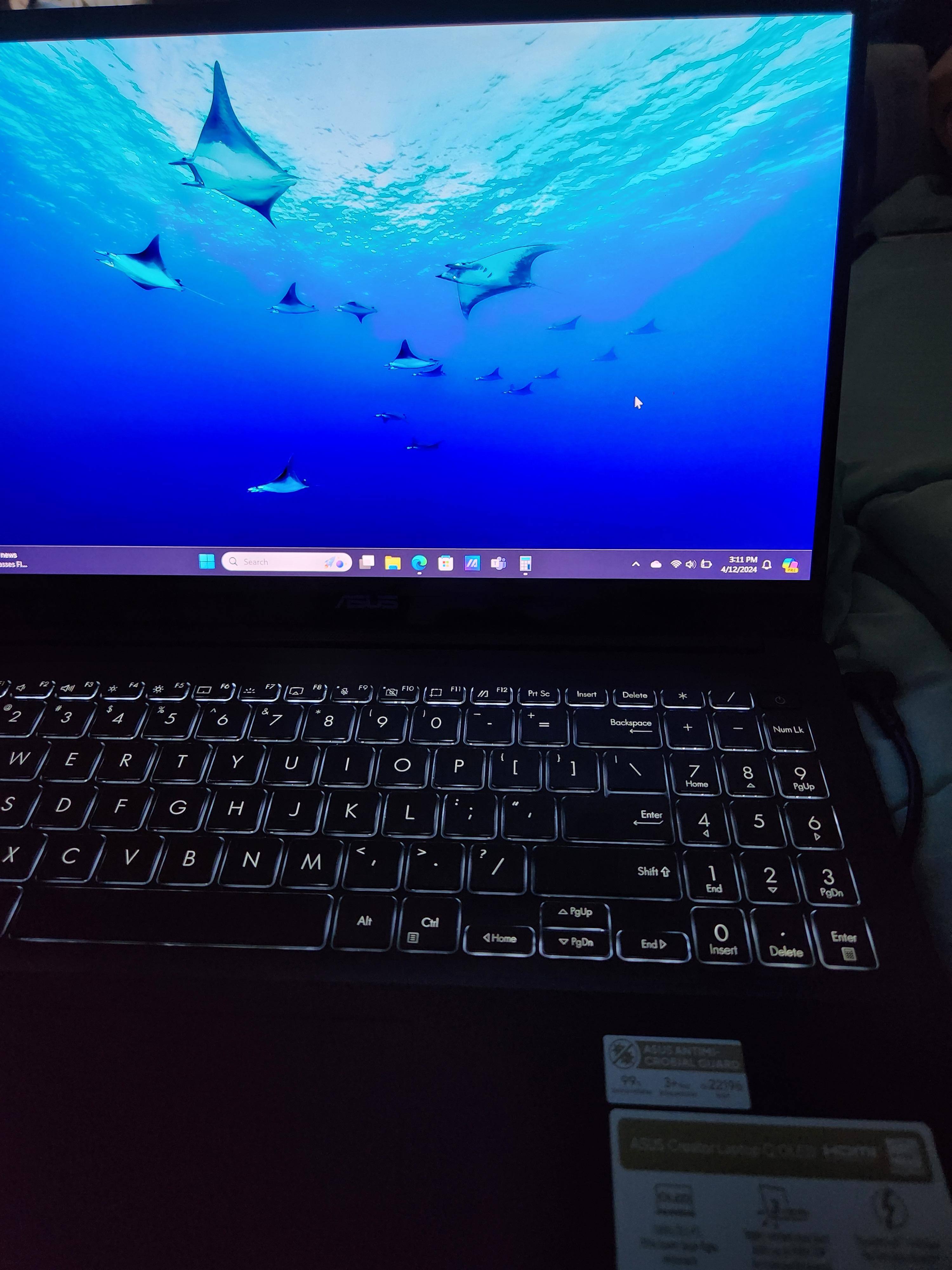 Customer provided, click to load a larger version