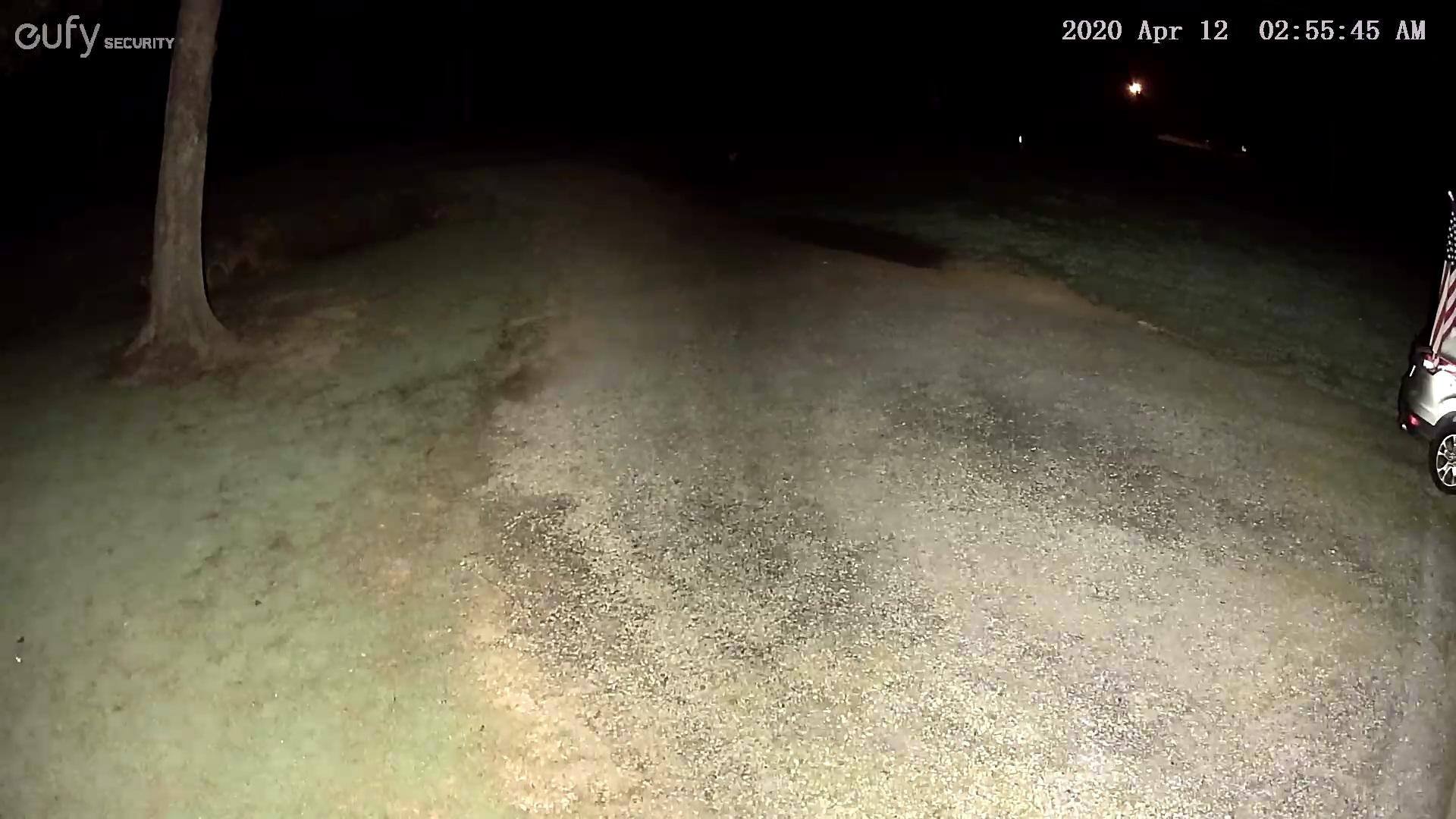 Night View, click to load a larger version