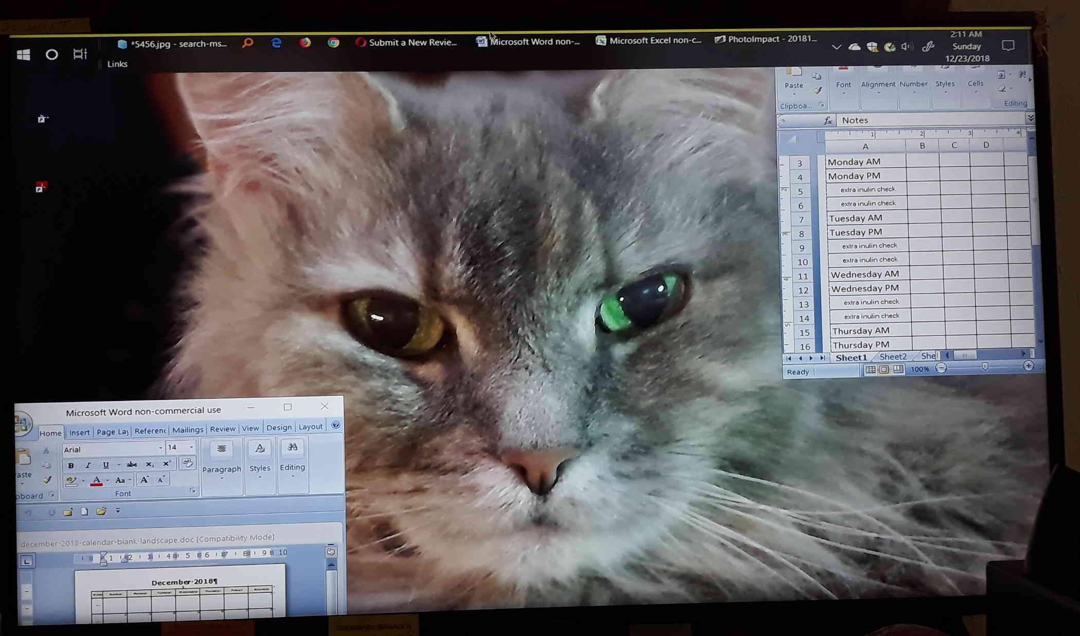 just a snapshot - not professional, click to load a larger version