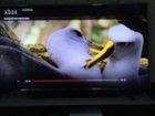 4K HDR From Netflix, click to load a larger version