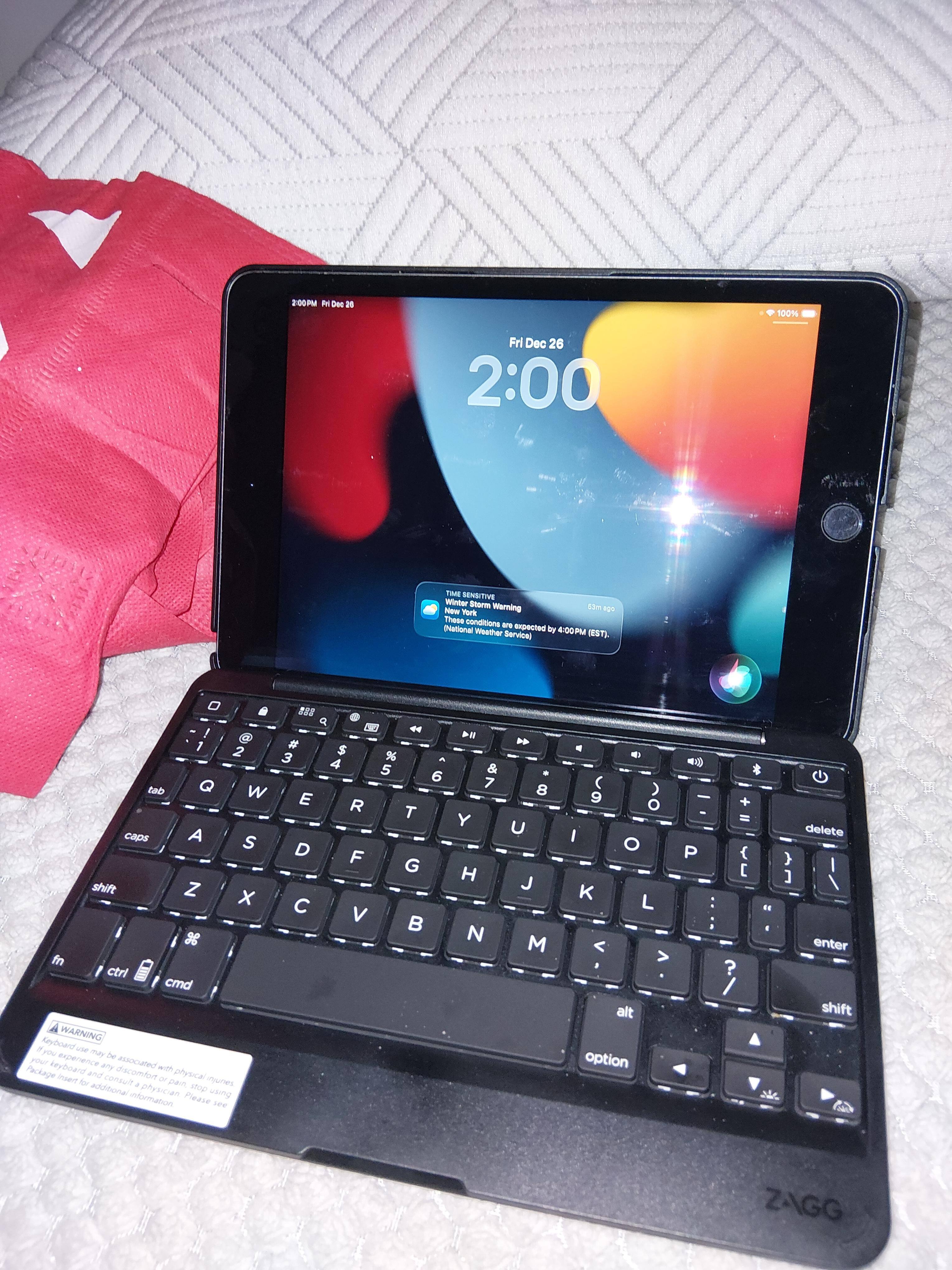 Apple Geek Squad Certified Refurbished iPad mini with Wi Fi 64GB