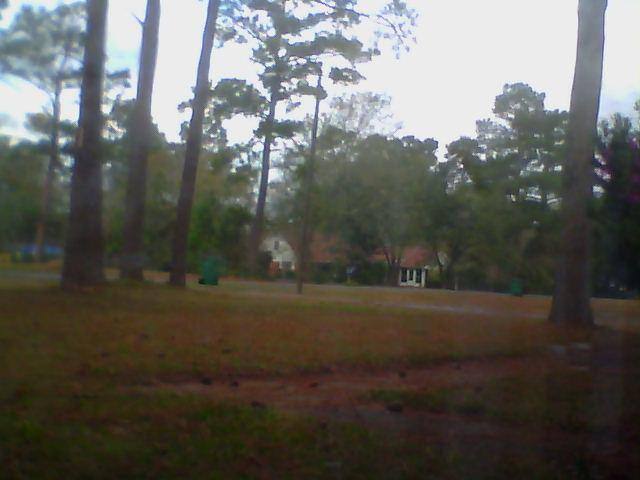 This is a low angle 6 ft from side walk. No detail at all, click to load a larger version