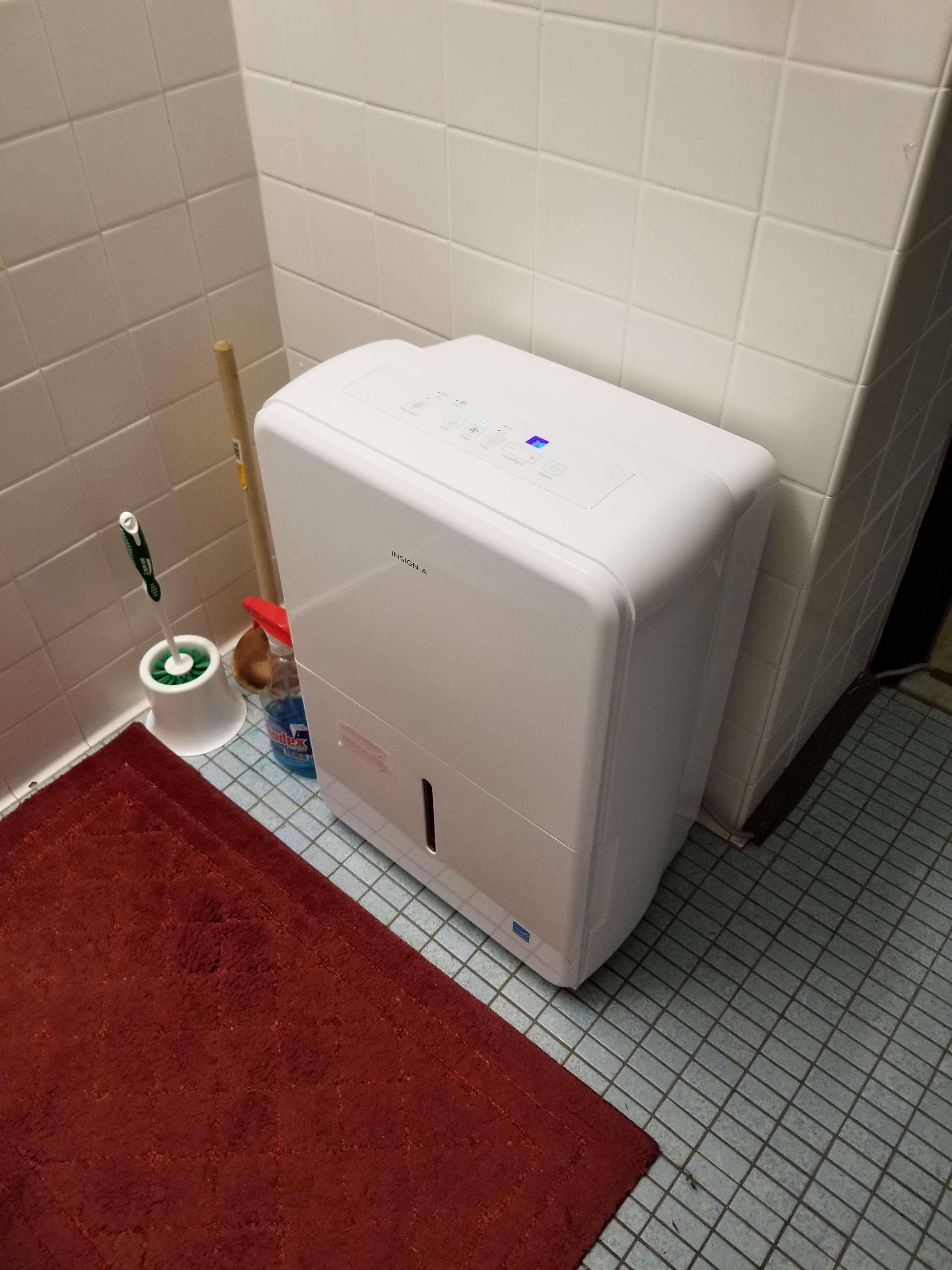 Large, but not excessively so, click to load a larger version