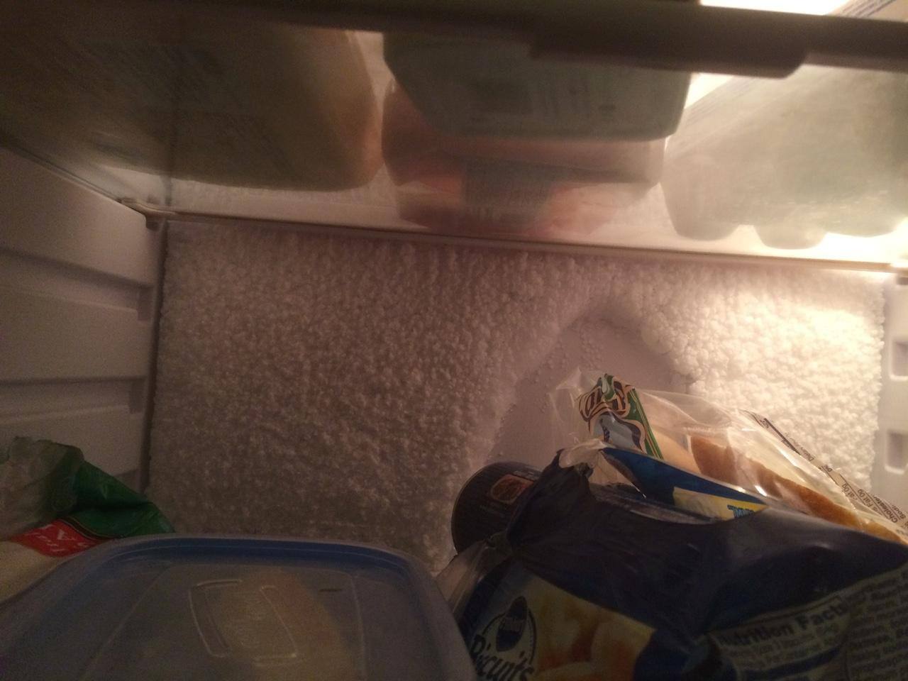Food frozen at the back of the fridge to this nice iceblock, click to load a larger version