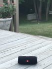 Chillin' to some tunes on the deck..., click to load a larger version