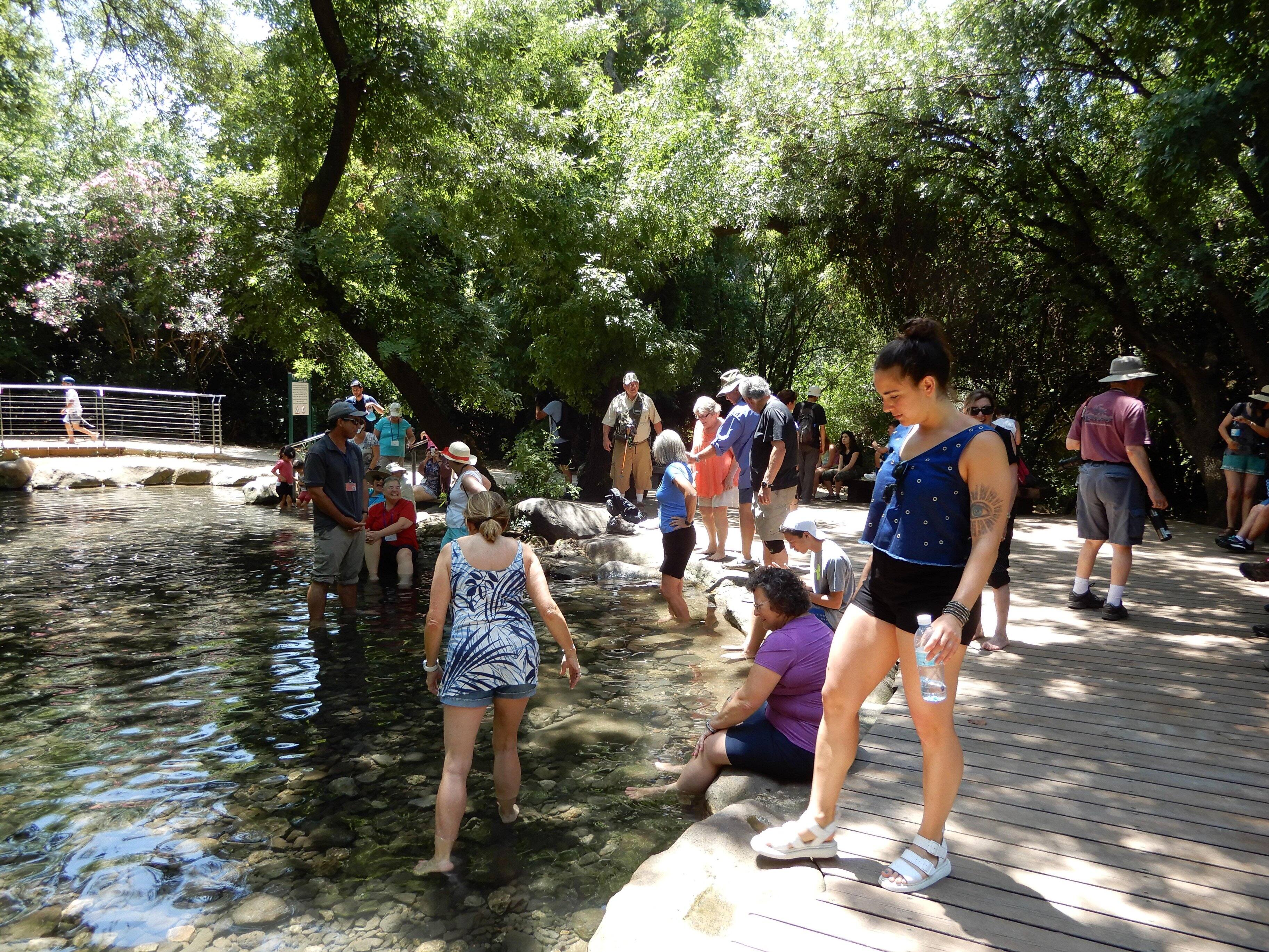 wading pool Dan river Israel, click to load a larger version