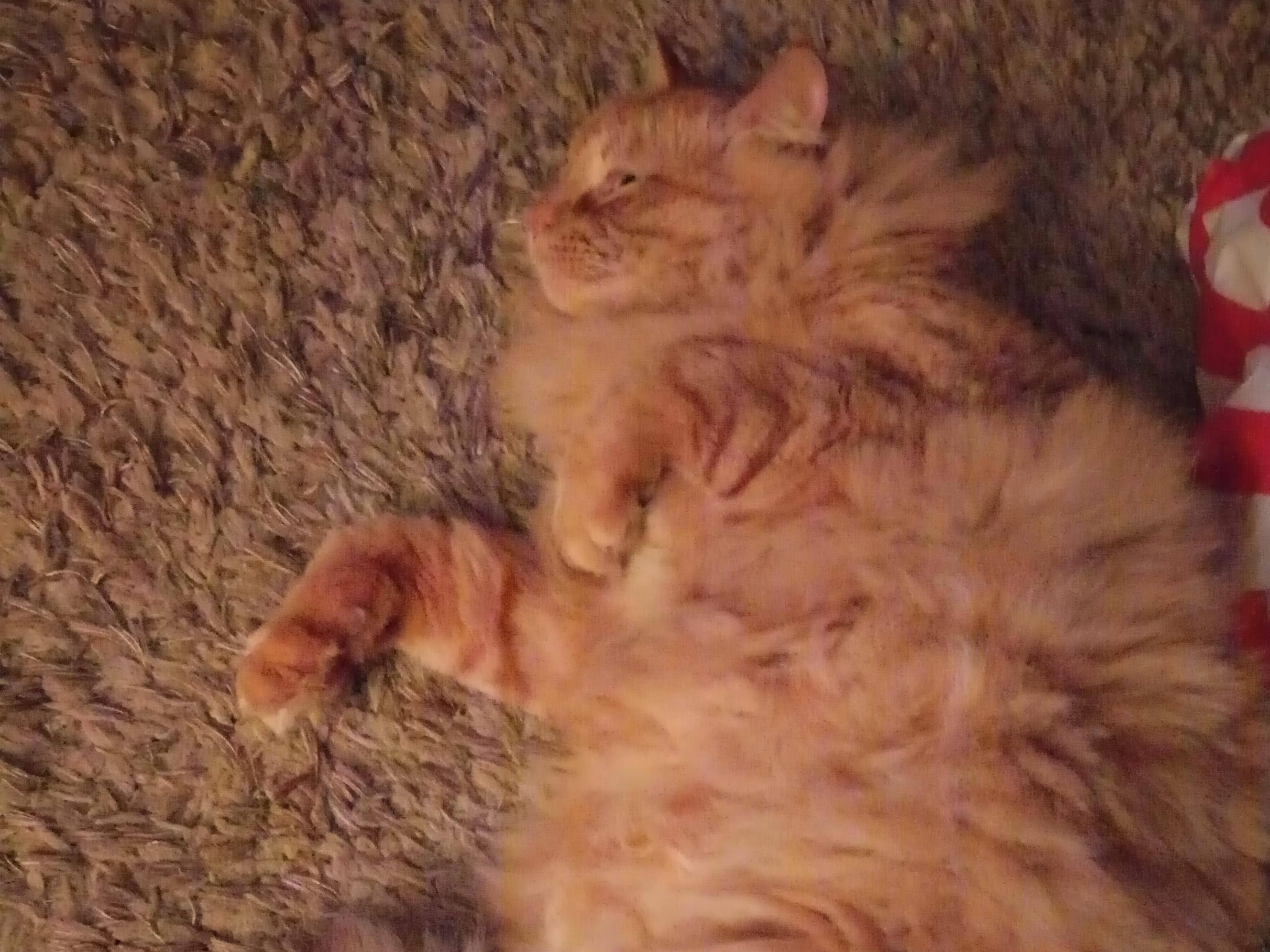 poor low light quality: fringing, banding, click to load a larger version