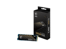 MSI SPATIUM Series M.2 2280 1TB PCI Express 4.0 x4 Internal Solid