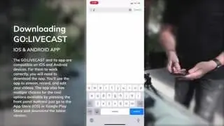 media item thumbnail