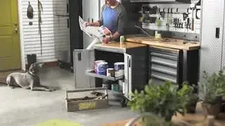 media item thumbnail