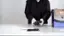 media item thumbnail