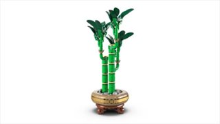 LEGO Botanicals Lucky Bamboo Building Set for Adults 10344 6526164