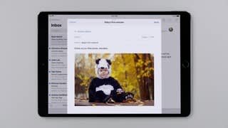 Apple Geek Squad Certified Refurbished iPad with Wi Fi 32GB Gold