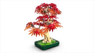LEGO Botanicals Japanese Red Maple Bonsai Tree Building Set for