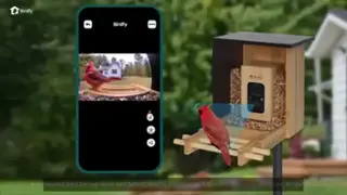 media item thumbnail