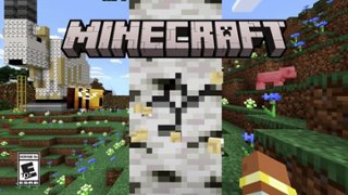 Minecraft Java and Bedrock Edition Windows [Digital] 2WU-00039